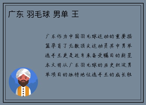 广东 羽毛球 男单 王