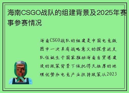 海南CSGO战队的组建背景及2025年赛事参赛情况